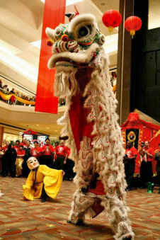 lions_standing