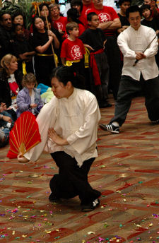tai_chi_allie